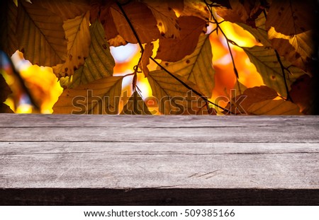empty wooden board with beautiful autumn leaves on natural blur background.