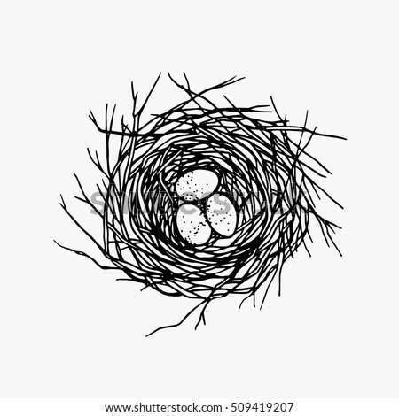 Vector illustration of hand drawn nest with spotted eggs. Graphic style, beautiful illustration