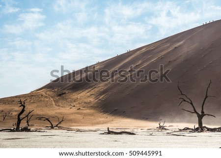 Dead dry trees of DeadVlei valley at Namib Desert and silhouettes of people on a huge sand dune edge