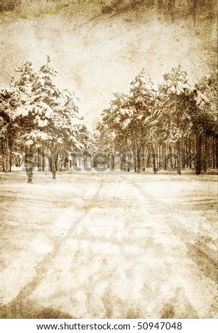 Snowy landscape .Photo in vintage image style.