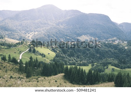 View to the carpathian mountains and romanian village from the top with lonely trees and clouds above - vintage film look