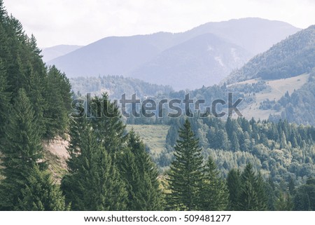 View to the carpathian mountains from the top with lonely trees and clouds above - vintage film look