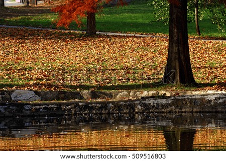 Autumn landscape of lake and bright trees
