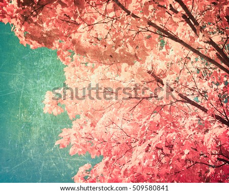 Vintage textured autumn foliage