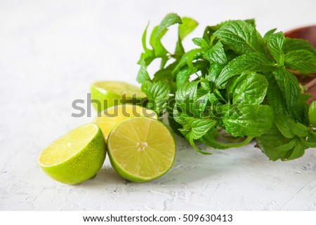 lime and mint - ingredients for a mojito or lemonade, selective focus, copy space