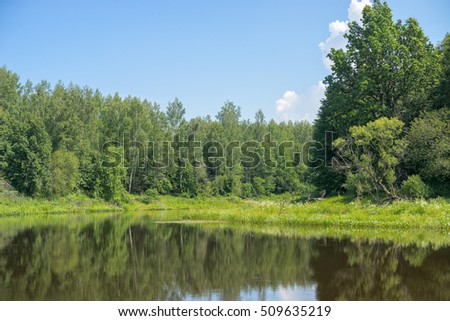 View on lake with sedge and trees on bank
