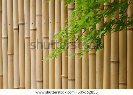 Maple leaves with bamboo wall