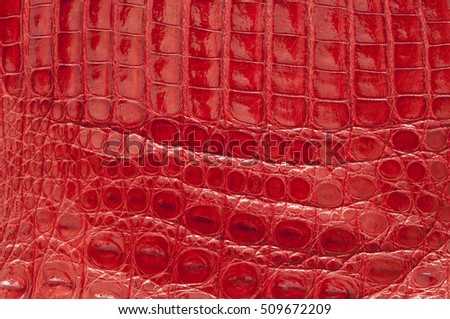 crocodile skin texture in red color