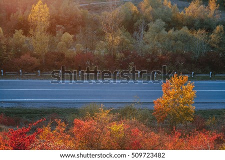 beautiful  view of the road from a height. autumn