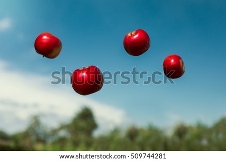 ripe apples in zero gravity thrown into the air Royalty-Free Stock Photo #509744281