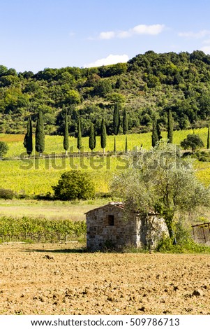 Varied landscape of Tuscany