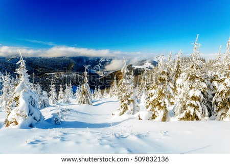 Beautiful mountain snowy landscape and snow covered trees. Beautiful sunny day in the mountains.
