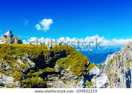 people in beautiful summer alpine mountain landscape.