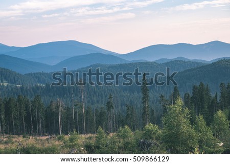 View to the carpathian mountains from forest with lonely trees and clouds above - vintage film look