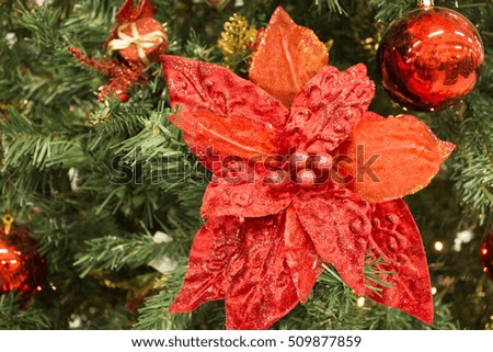 Red holly or flower on green fir tree branch. Christmas tree ornament close photo with text place. Christmas or New Year fir tree decor closeup. Christmas decoration card background or banner template