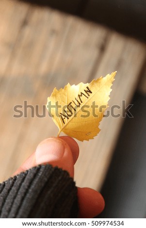 Fall idea, autumn leaf with an inscription