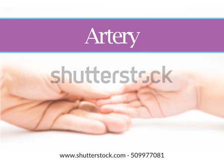 Artery - Heart shape to represent medical care as concept. The word Artery is a part of medical vocabulary in stock photo.