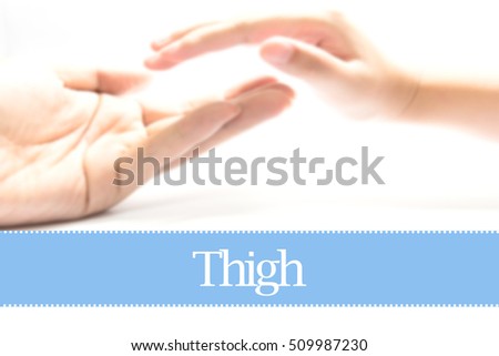 Thigh - Heart shape to represent medical care as concept. The word Thigh is a part of medical vocabulary in stock photo.