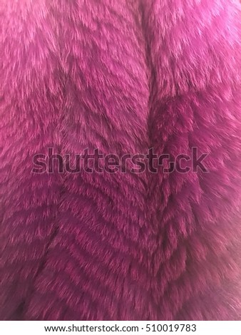 Purple Fur