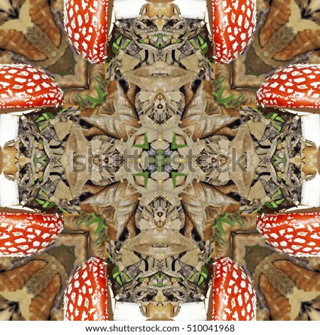 Natural kaleidoscope with natural motives of mushroom