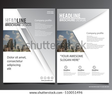 Silver abstract annual report Brochure design template vector. Business Flyers infographic magazine poster.Abstract layout template ,Book Cover presentation portfolio. Royalty-Free Stock Photo #510051496