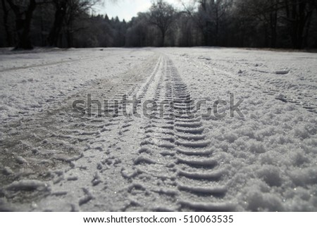 Trace of car on the snow in the park on a winter day.