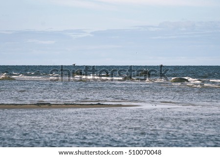 comfortable beach of the baltic sea with rocks and green vegetation in summer - vintage film look