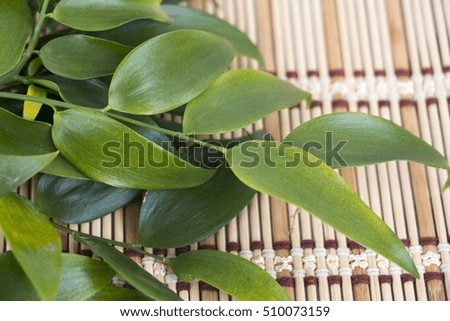 Green leaves on bamboo mat background. Close up