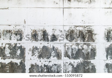 Wall texture and background,High quality picture.