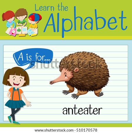 Flashcard letter A is for anteater illustration