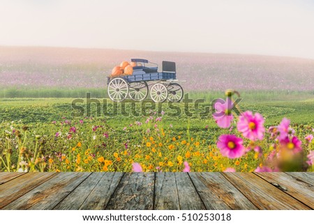 wood floor on carriage on green grass at sunrise