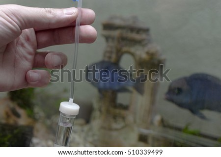 A vet hand setting infusion. The fishes swimming in a fish tank in the blurred background