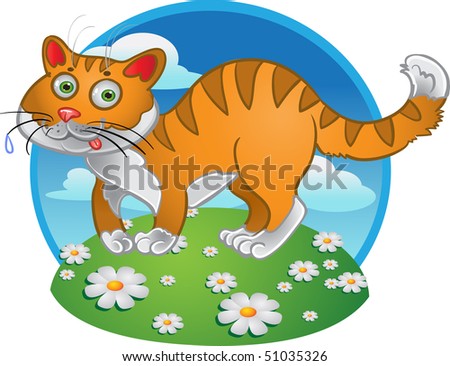 Orange fun cat on color background
