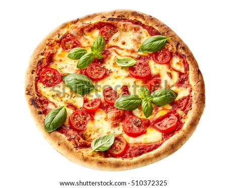 Tasty homemade Margherita Italian pizza on a thick pastry crust garnished with fresh basil, overhead view isolated on white