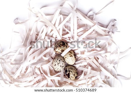 quail eggs in a nest on a white background
