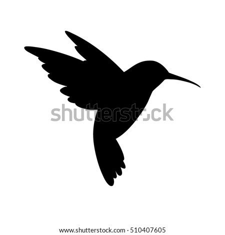 humming bird silhouette. Isolated vector