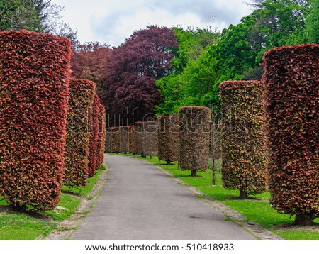 A perspective view on a pedestrian alley in the Park - on both sides limited futuristic trees and shrubs in the form of cylinders, Oslo, Norway