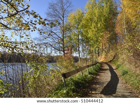 Path along a river bank with lot of birches, picture from the Northern Sweden.
