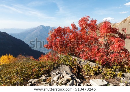 Mountain landscape. Russia, Sochi, resort "Krasnaya Polyana". In the mountains of the Caucasus come autumn. Vibrant fall colors of alpine meadows and foothills.