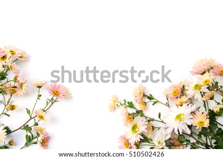 branches delicate flowers of chrysanthemums on a white background. do not isolate