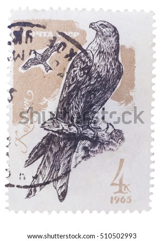 BUDAPEST, HUNGARY - 02 FEBRUARY 2016: stamp printed in USSR shows red kite, circa 1965 