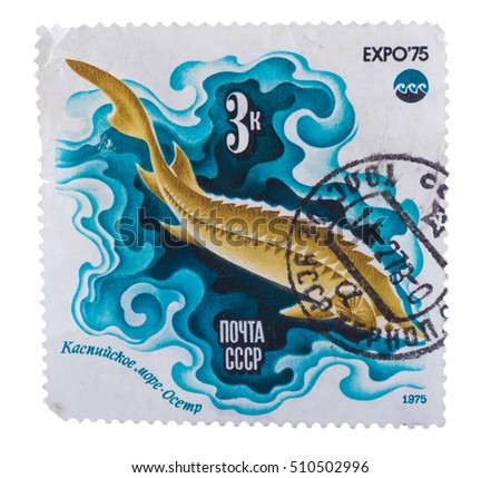 USSR- CIRCA 1975: A stamp printed in the USSR shows fish Sturgeon, Caspian Sea, series "Oceanexpo 75 Emblem", circa 1975
