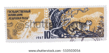 USSR - CIRCA 1967: A stamp printed in USSR, shows map of Cedar Pad Reserve and leopard, circa 1967