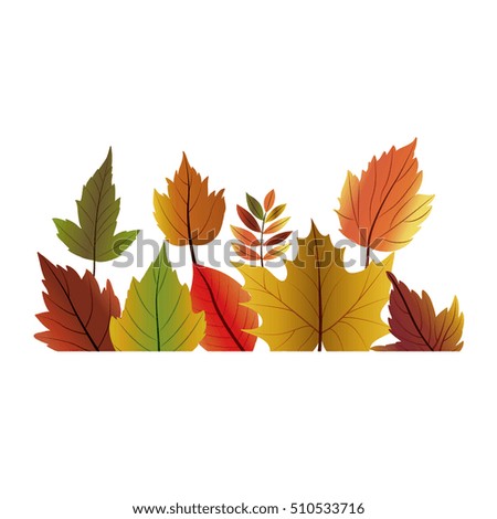 Leaf of autumn season design