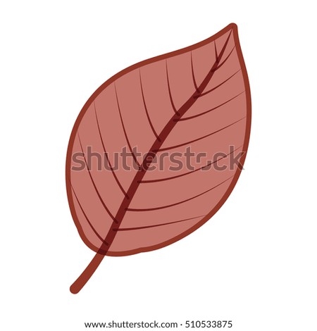 Leaf of autumn season design