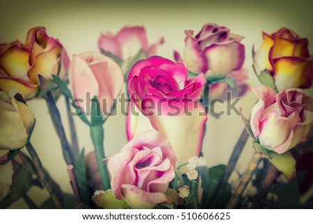 Close up,Beautiful rose flower.Style vintage tone