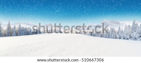 Beautiful winter panorama with fresh powder snow. Landscape with spruce trees, blue sky with sun light and high Alpine mountains on background Royalty-Free Stock Photo #510667306