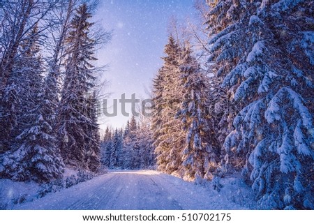 Beautiful winter landscape: snowy forest on sunny day in Finland