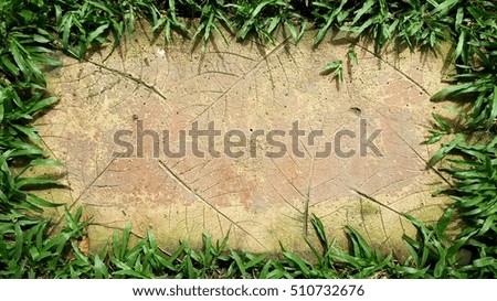 Floor corridor on the lawn