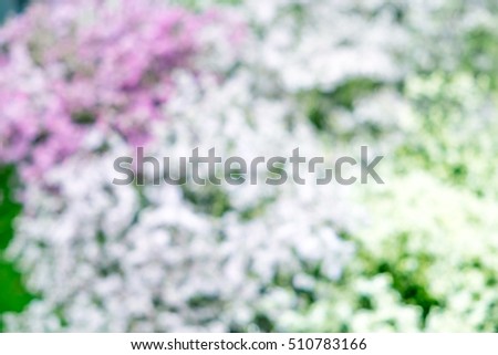 Blurred background of colorful bright flowers
